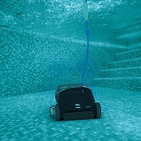Dolphin S3000 mit Kombi-B&amp;#252;rsten