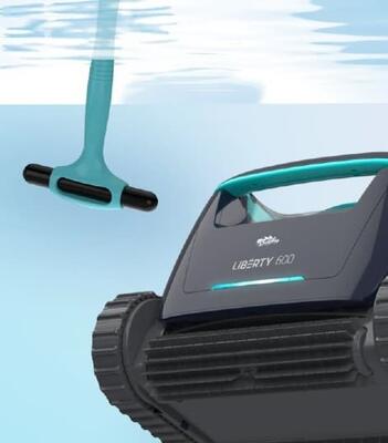 Dolphin Liberty 600 mit Kombibürste